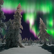 Watch the Northern Lights