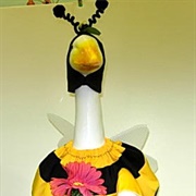 Goose Bee