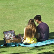 Picnic