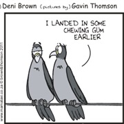 Come to a Sticky End