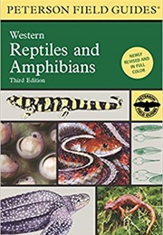 Field Guide to Western Reptiles and Amphibians (Robert C Stebbins)