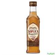 Burn Through Dried Fruit Vodka