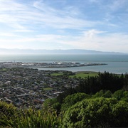 Nelson, New Zealand