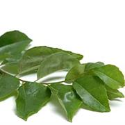 Curry Leaf