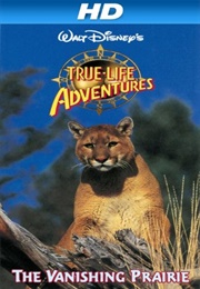 The Vanishing Prairie (1954)