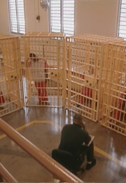 Frontline: The New Asylums (2005)