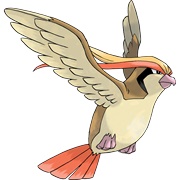 Pidgeot