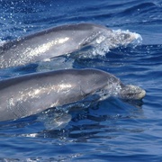 Tuscan Archipelago National Park, Italy
