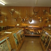 Roniger Memorial Museum