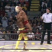 Ric Flair vs. Ricky Steamboat,Spring Stampede 1994