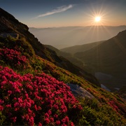 Rodna Mountains NP / Maramures, Romania