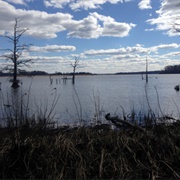 Chickahominy Wildlife Management Area