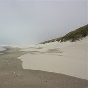 Oregon Dunes