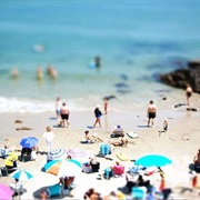 Plan Your Next Vacation