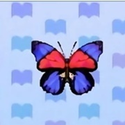 Agrias Butterfly