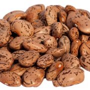 Pinto Bean