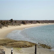 Corson's Inlet State Park, New Jersey