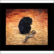 Nick Buzz, a Quiet Evening at Home