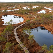 Kemeri National Park, Latvia
