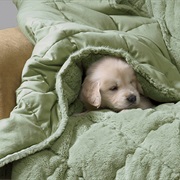 A Cold Room and a Warm Blanket