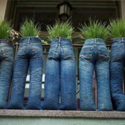 Planter's Pants