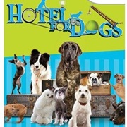 Hotel for Dogs