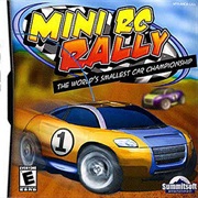 Mini RC Rally
