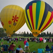 Great Aardvark Embark Hot Air Balloon Launch