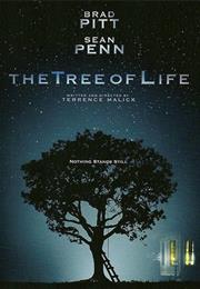 Tree of Life (Terrence Malik, 2011)