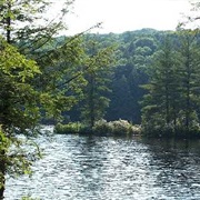 Bigelow Hollow State Park, Connecticut