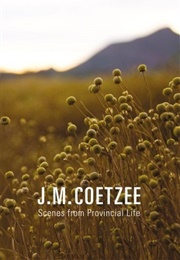 Scenes From Provincial Life (J.M. Coetzee)