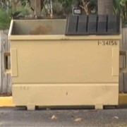 Jump From a Building Into a Dumpster