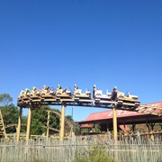 Kōmbo - Indianapolis Zoo