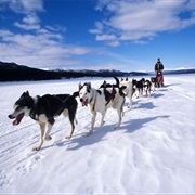 Ride on a Dogsled