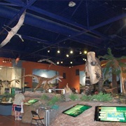 Dinosaur Isle, Sandown, Isle of Wight