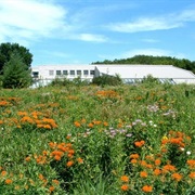 Spring Valley Nature Sanctuary Schaumburg