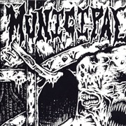 Municipal Waste - Municipal Waste