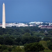 View Washington Monument From Arlington Skyscrapers