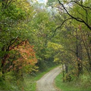 Harrison State Forest, Ohio