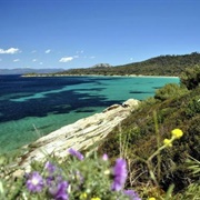 Port-Cros National Park
