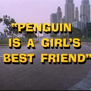 Penguin Is a Girl's Best Friend