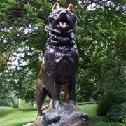 Balto