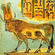 Apis Bull