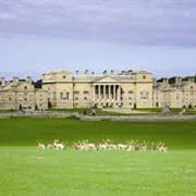 Holkham Hall