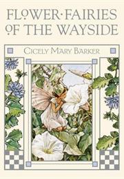 Flower Fairies of the Wayside