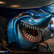 Bruce&#39;s Shark World