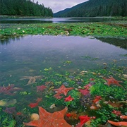 Gwaii Haanas National Park, Canada