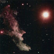 Ignatius - Lights From the Deep