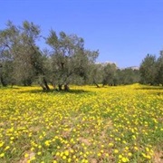 Alpilles Regional Park, France