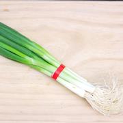 Spring Onions